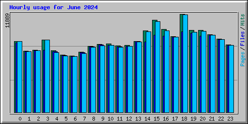 Hourly usage for June 2024
