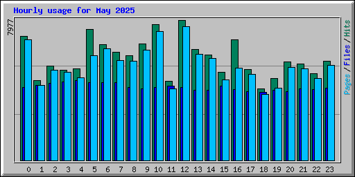 Hourly usage for May 2025