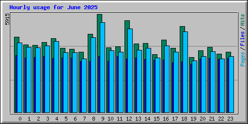 Hourly usage for June 2025