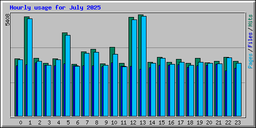 Hourly usage for July 2025