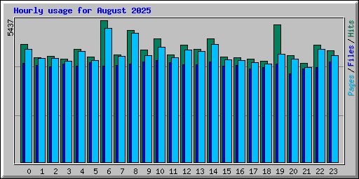 Hourly usage for August 2025