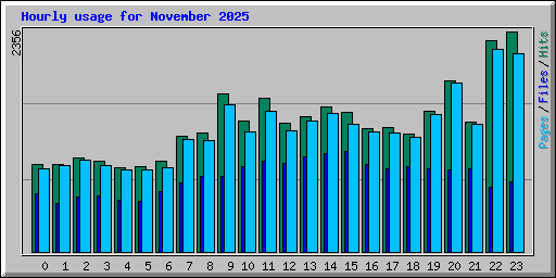 Hourly usage for November 2025
