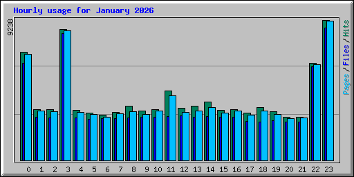 Hourly usage for January 2026