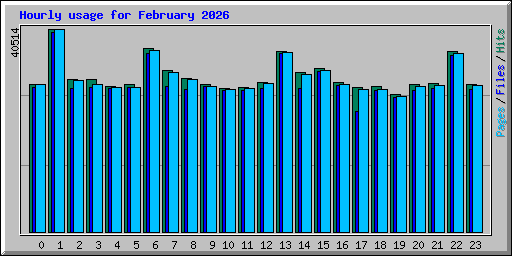 Hourly usage for February 2026