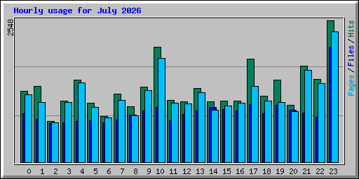 Hourly usage for July 2026