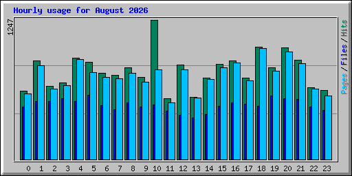 Hourly usage for August 2026
